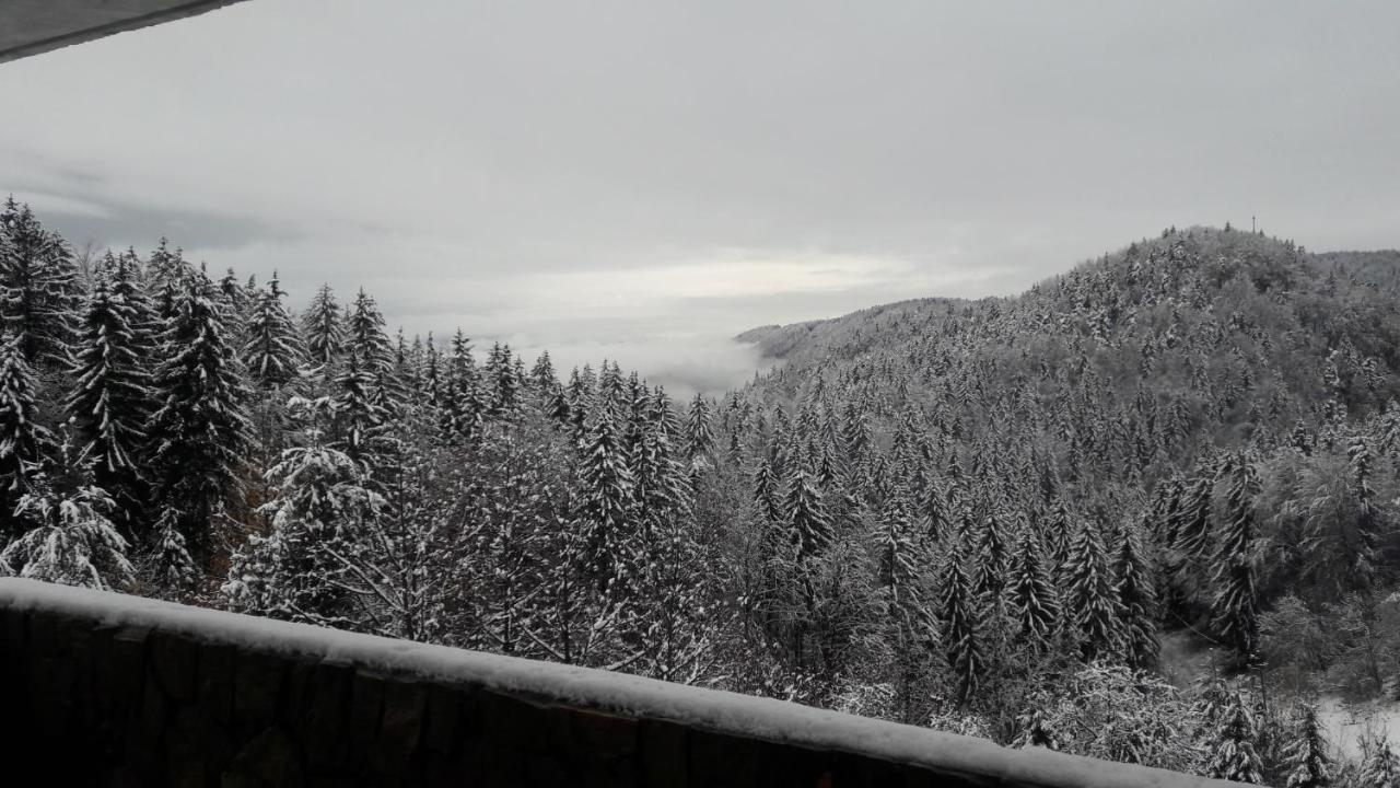 Affittacamere House Jaro & Camp Jaro Velenje Esterno foto